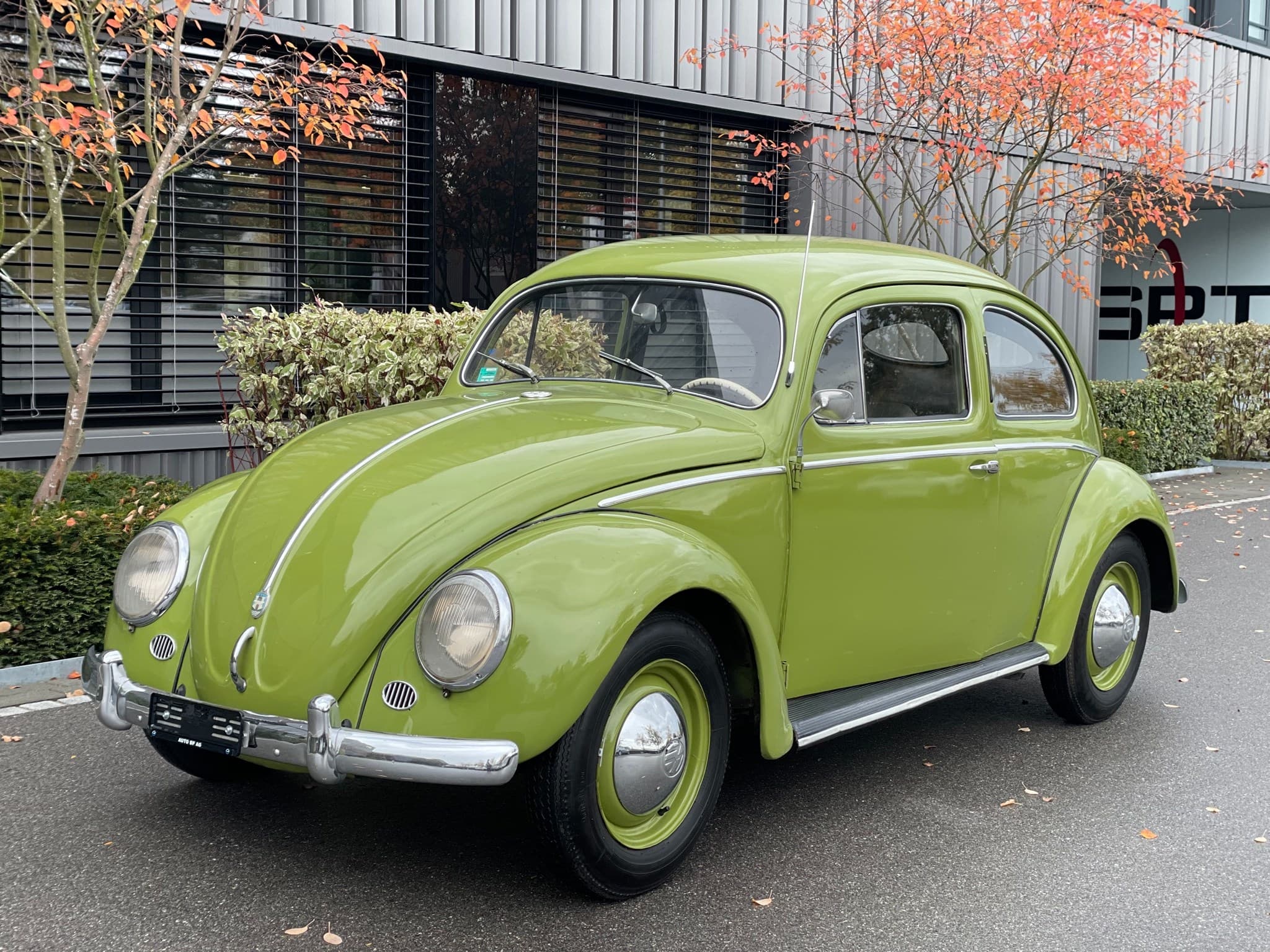 VW Käfer Brezel (Bild 1 von 12)
